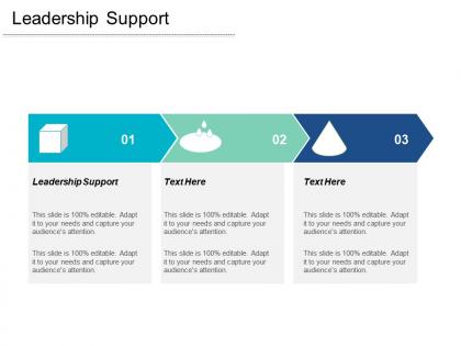 Leadership support ppt powerpoint presentation infographics styles cpb