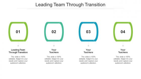 Leading team through transition ppt powerpoint presentation portfolio graphics pictures cpb