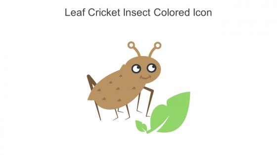 Leaf Cricket Insect Colored Icon In Powerpoint Pptx Png And Editable Eps Format
