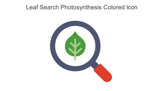 Leaf Search Photosynthesis Colored Icon In Powerpoint Pptx Png And Editable Eps Format