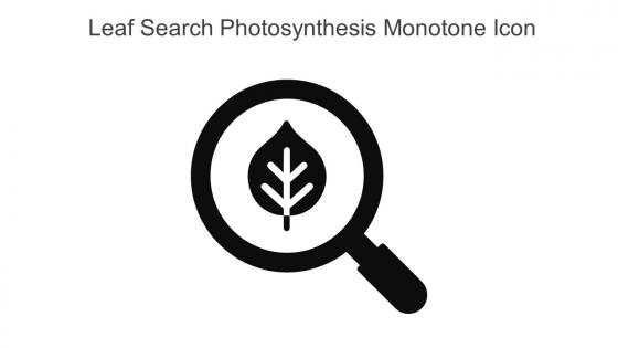 Leaf Search Photosynthesis Monotone Icon In Powerpoint Pptx Png And Editable Eps Format