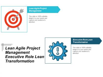 Lean agile project management executive role lean transformation cpb