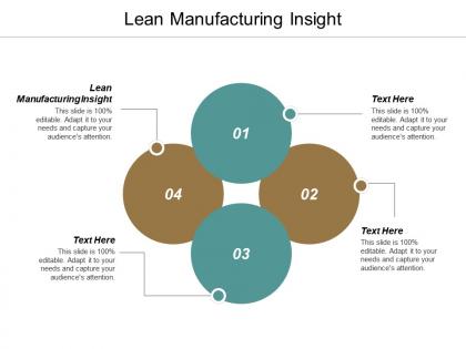 Lean manufacturing insight ppt powerpoint presentation professional template cpb