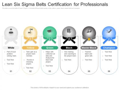 Lean six sigma belts certification for professionals