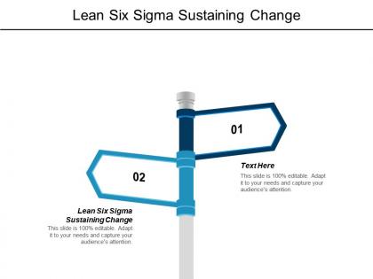 Lean six sigma sustaining change ppt powerpoint presentation infographics example cpb