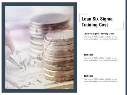 Lean six sigma training cost ppt powerpoint presentation pictures format ideas cpb