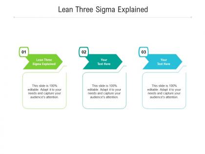 Lean three sigma explained ppt powerpoint presentation portfolio slides cpb