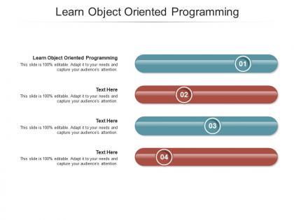 Learn object oriented programming ppt powerpoint presentation summary display cpb