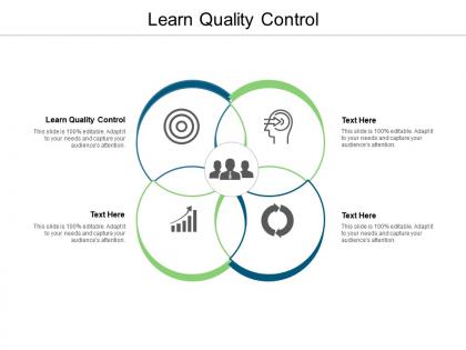 Learn quality control ppt powerpoint presentation infographic template structure cpb