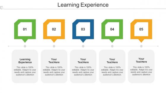 Learning Experience Ppt Powerpoint Presentation Outline Cpb