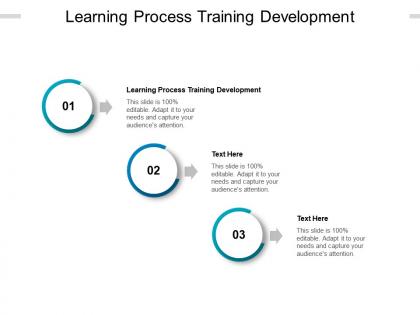 Learning process training development ppt powerpoint presentation file display cpb