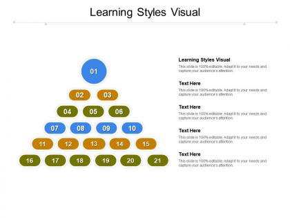 Learning styles visual ppt powerpoint presentation ideas graphics example cpb