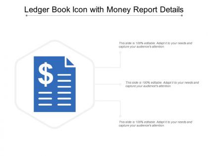 Ledger book icon with money report details