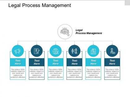 Legal process management ppt powerpoint presentation infographic template inspiration cpb