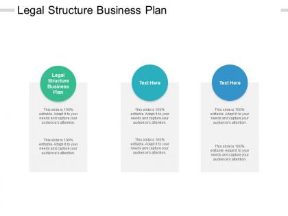Legal structure business plan ppt powerpoint presentation shapes cpb