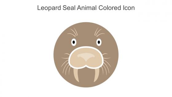 Leopard Seal Animal Colored Icon In Powerpoint Pptx Png And Editable Eps Format