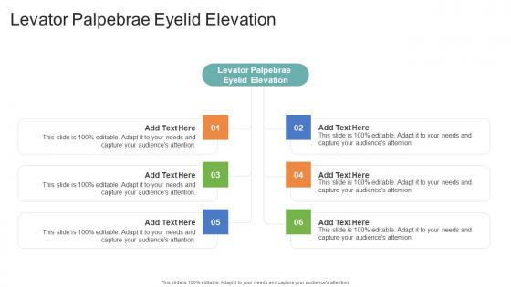 Levator Palpebrae Eyelid Elevation In Powerpoint And Google Slides Cpb