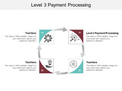 Level 3 payment processing ppt powerpoint presentation ideas slideshow cpb