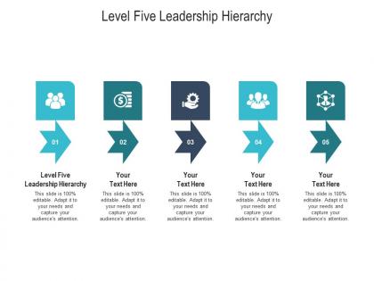 Level five leadership hierarchy ppt powerpoint presentation outline deck cpb