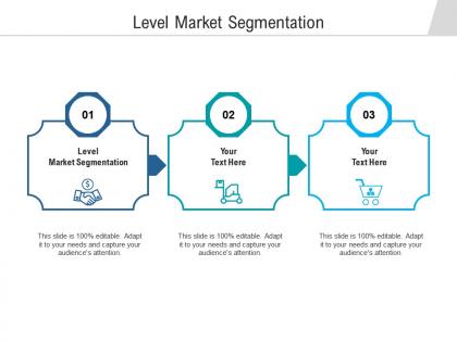 Level market segmentation ppt powerpoint presentation professional background image cpb
