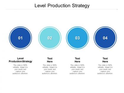 Level production strategy ppt powerpoint presentation ideas icon cpb
