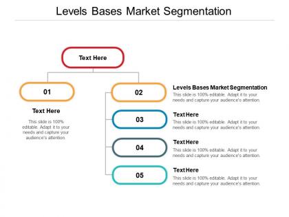 Levels bases market segmentation ppt powerpoint presentation professional diagrams cpb
