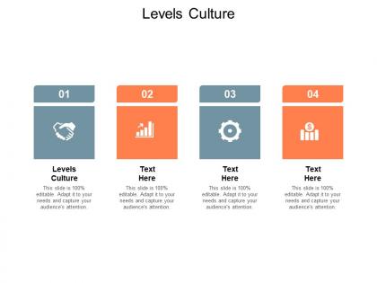 Levels culture ppt powerpoint presentation inspiration elements cpb