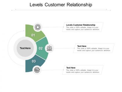 Levels customer relationship ppt powerpoint presentation infographic template cpb