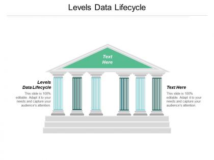 Levels data lifecycle ppt powerpoint presentation file slide download cpb