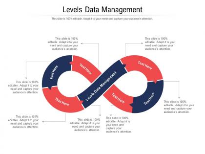 Levels data management ppt powerpoint presentation slides example cpb