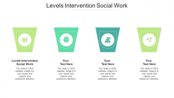 Levels intervention social work ppt powerpoint presentation layouts slides cpb