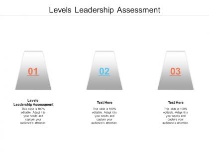 Levels leadership assessment ppt powerpoint presentation styles cpb