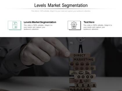 Levels market segmentation ppt powerpoint presentation gallery graphics cpb