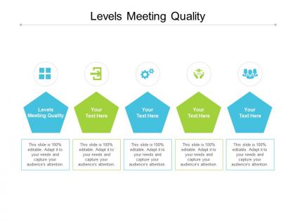 Levels meeting quality ppt powerpoint presentation pictures microsoft cpb