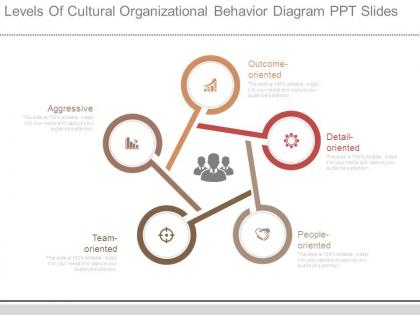 Levels of cultural organizational behavior diagram ppt slides