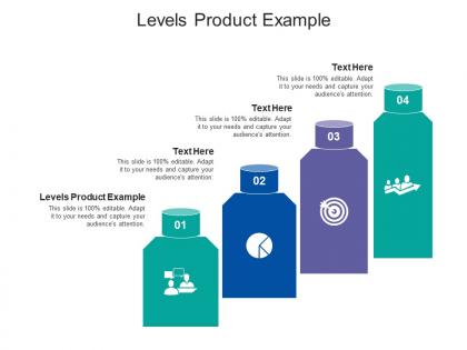 Levels product example ppt powerpoint presentation portfolio graphics example cpb