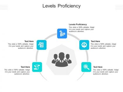 Levels proficiency ppt powerpoint presentation infographic template pictures cpb