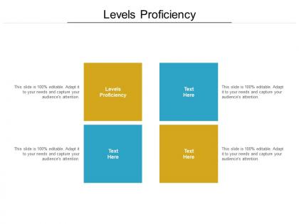 Levels proficiency ppt powerpoint presentation infographics diagrams cpb