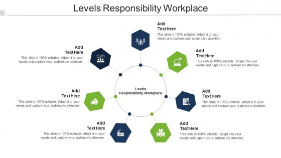 Levels Responsibility Workplace Ppt Powerpoint Presentation Pictures Graphics Cpb