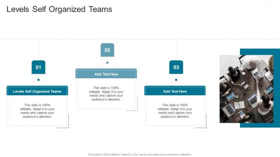 Levels Self Organized Teams In Powerpoint And Google Slides Cpb