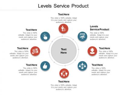 Levels service product ppt powerpoint presentation professional gallery cpb