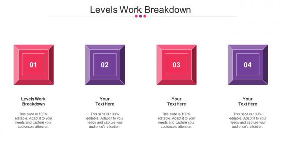 Levels Work Breakdown Ppt Powerpoint Presentation Ideas Mockup Cpb