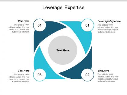 Leverage expertise ppt powerpoint presentation summary shapes cpb