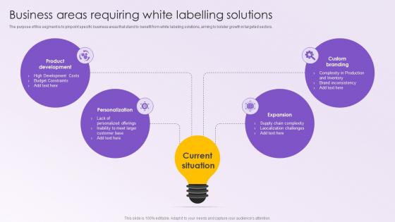 Leveraging White Labeling Business Areas Requiring White Labelling Solutions