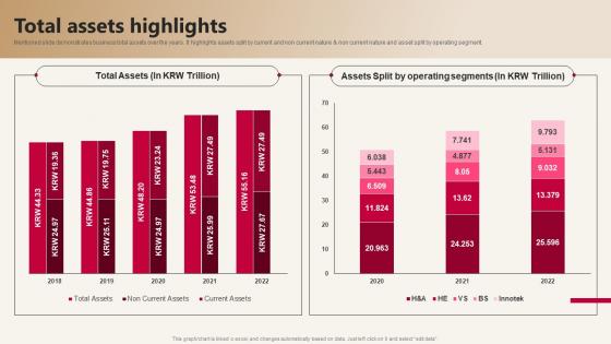 LG Company Profile Total Assets Highlights CP SS