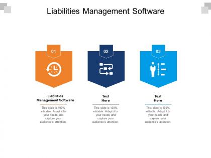Liabilities management software ppt powerpoint presentation slides graphic tips cpb