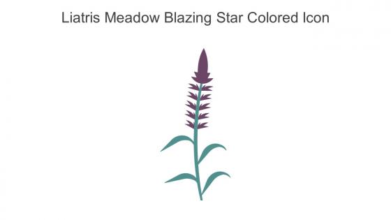 Liatris Meadow Blazing Star Colored Icon In Powerpoint Pptx Png And Editable Eps Format
