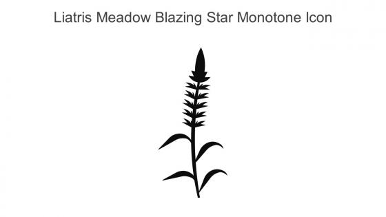 Liatris Meadow Blazing Star Monotone Icon In Powerpoint Pptx Png And Editable Eps Format