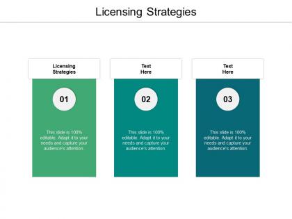 Licensing strategies ppt powerpoint presentation file visual aids cpb