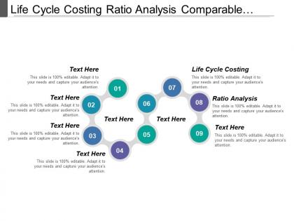 Life cycle costing ratio analysis comparable travel sensitivity analysis
